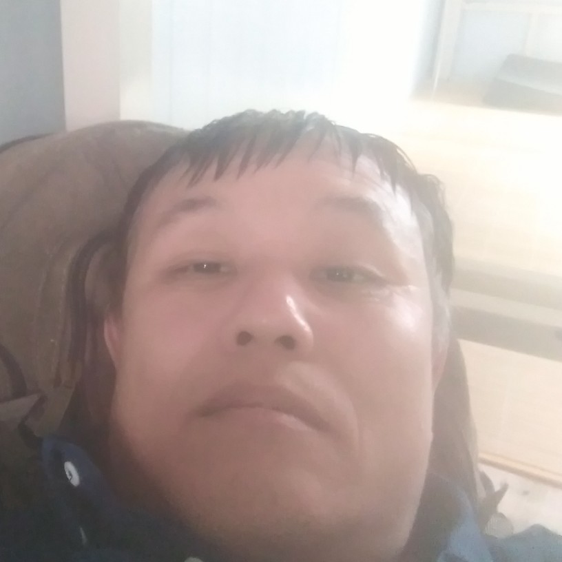 机器猫还勤恳的照片