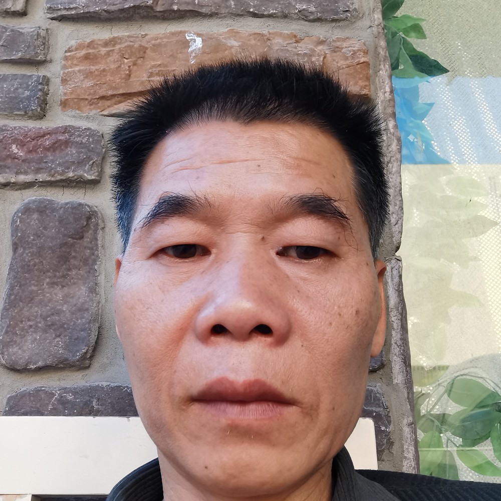 海燕活泼的照片