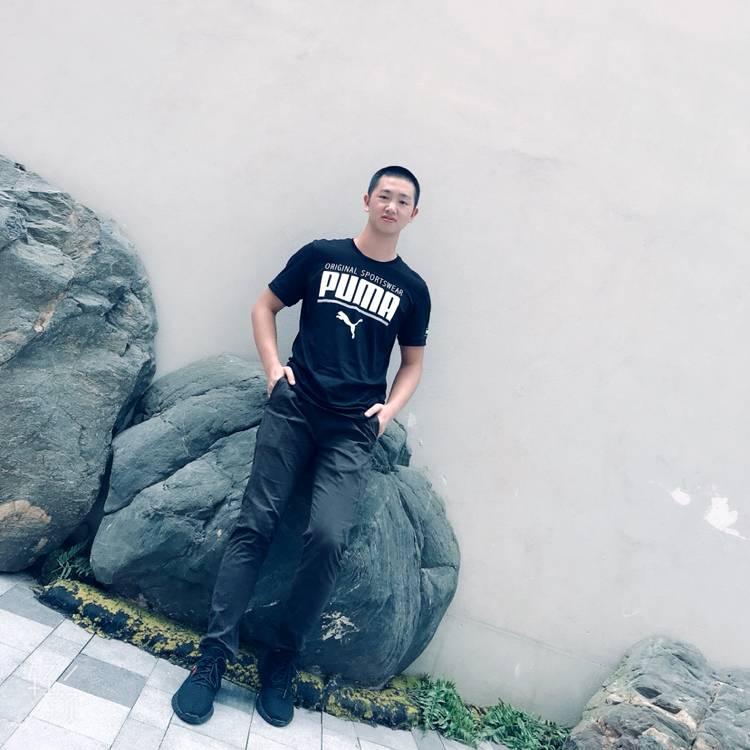 柠檬果的照片