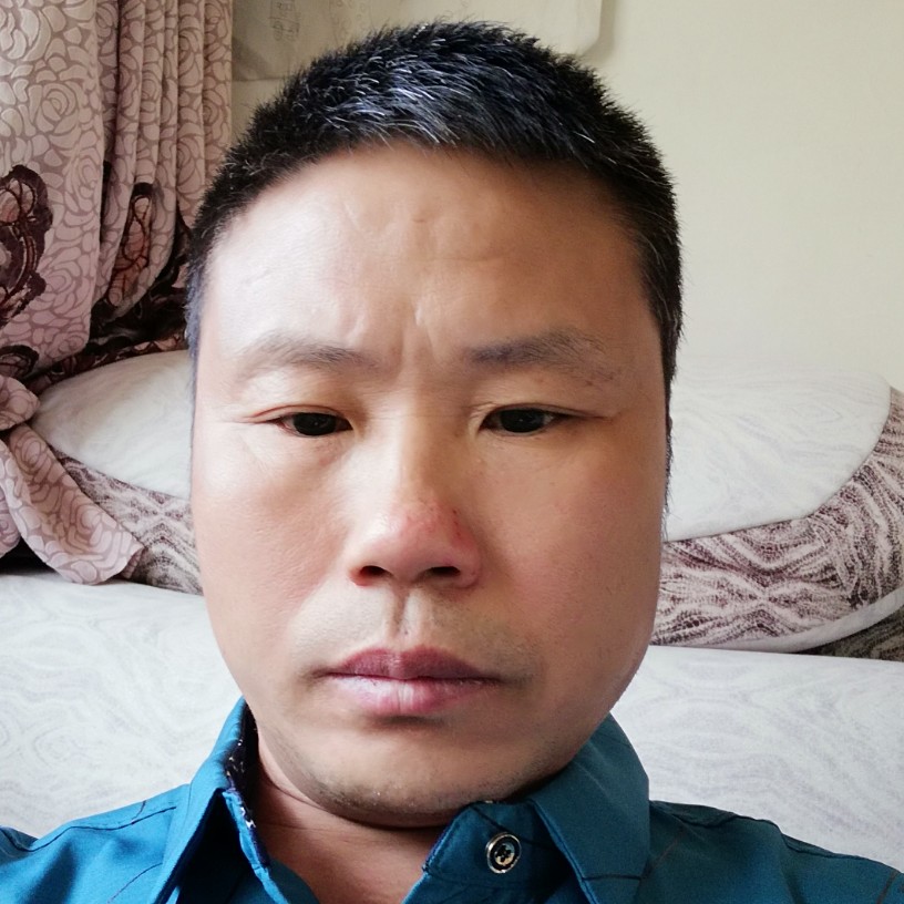 来自南方的羊的照片