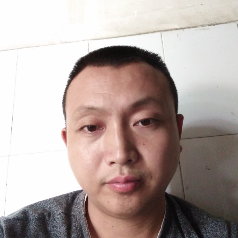 安详与向日葵的照片