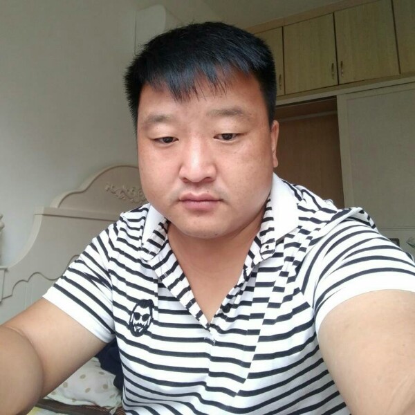健康向日葵的照片