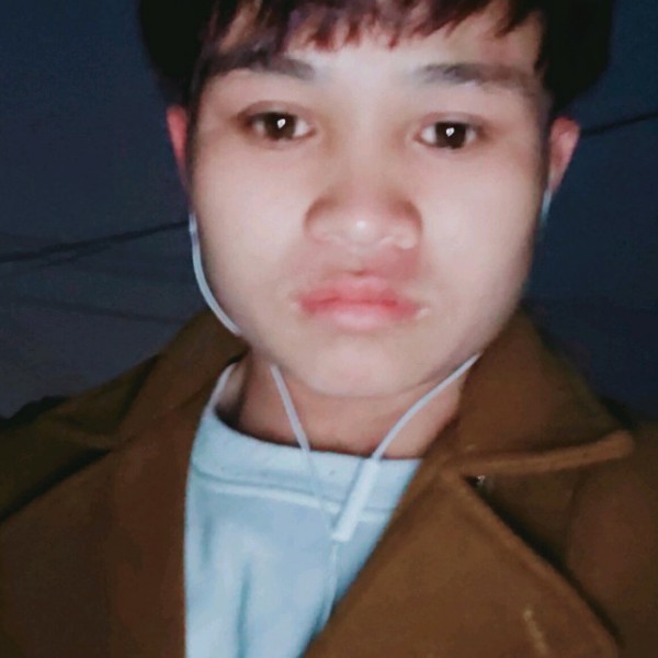 樱桃不安的照片