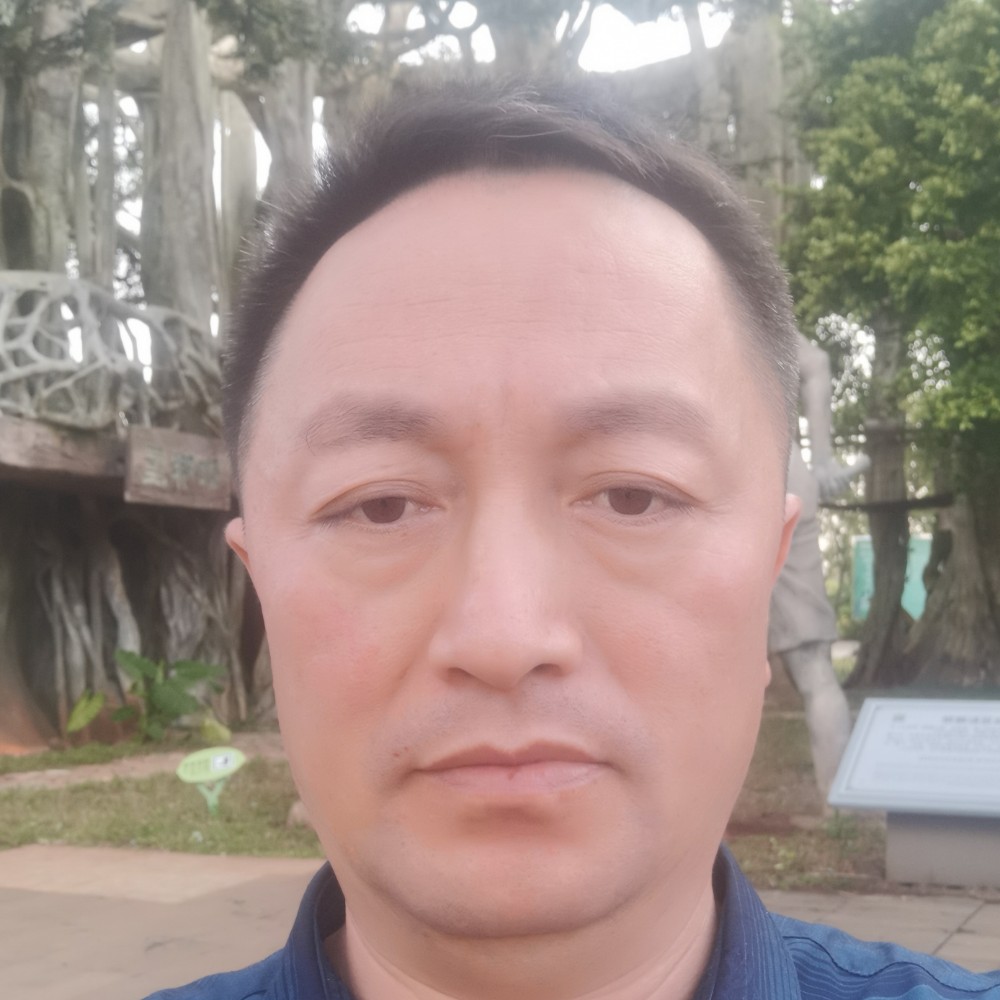 自行车矮小的照片