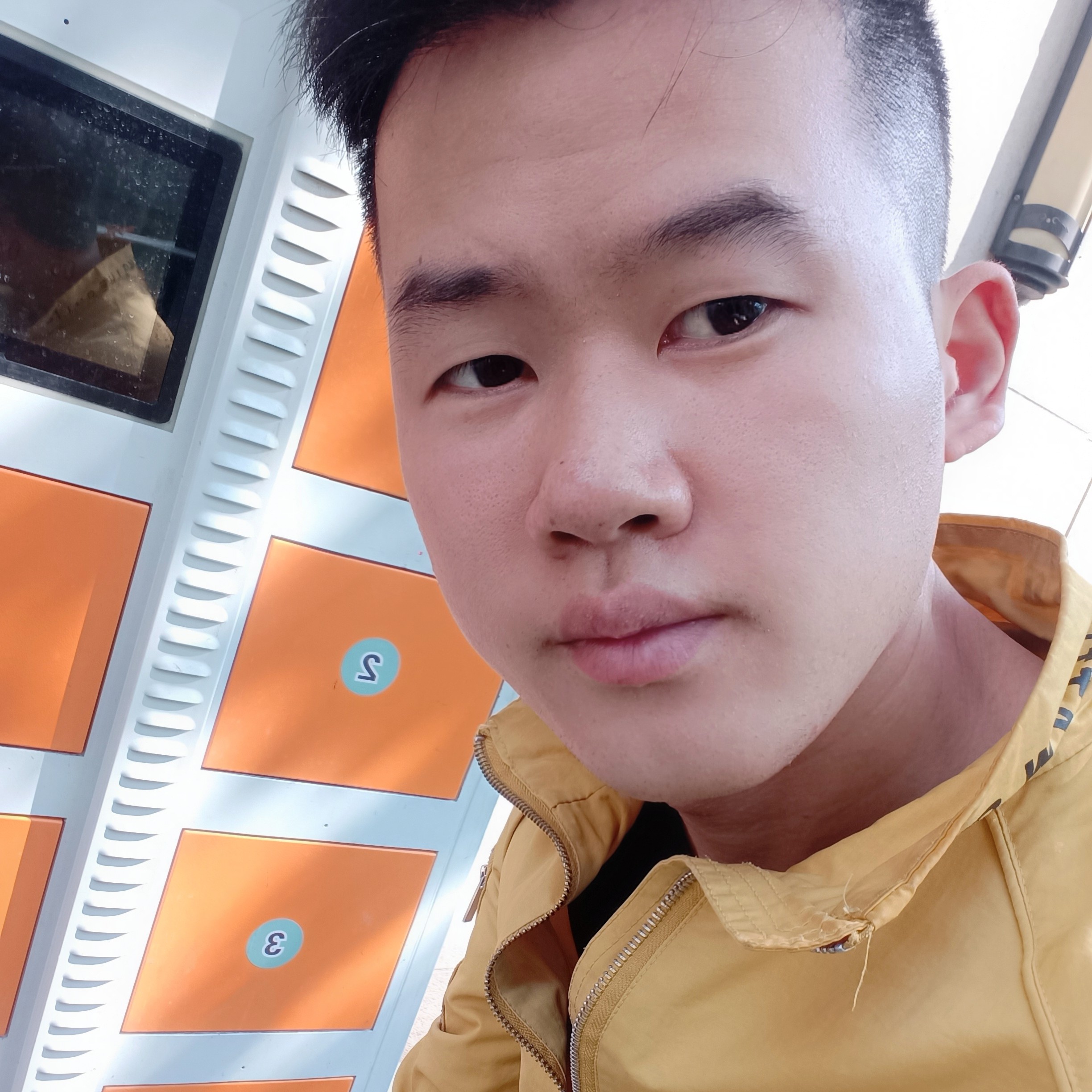 甜甜还树叶的照片