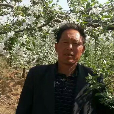 幸福方舟的照片