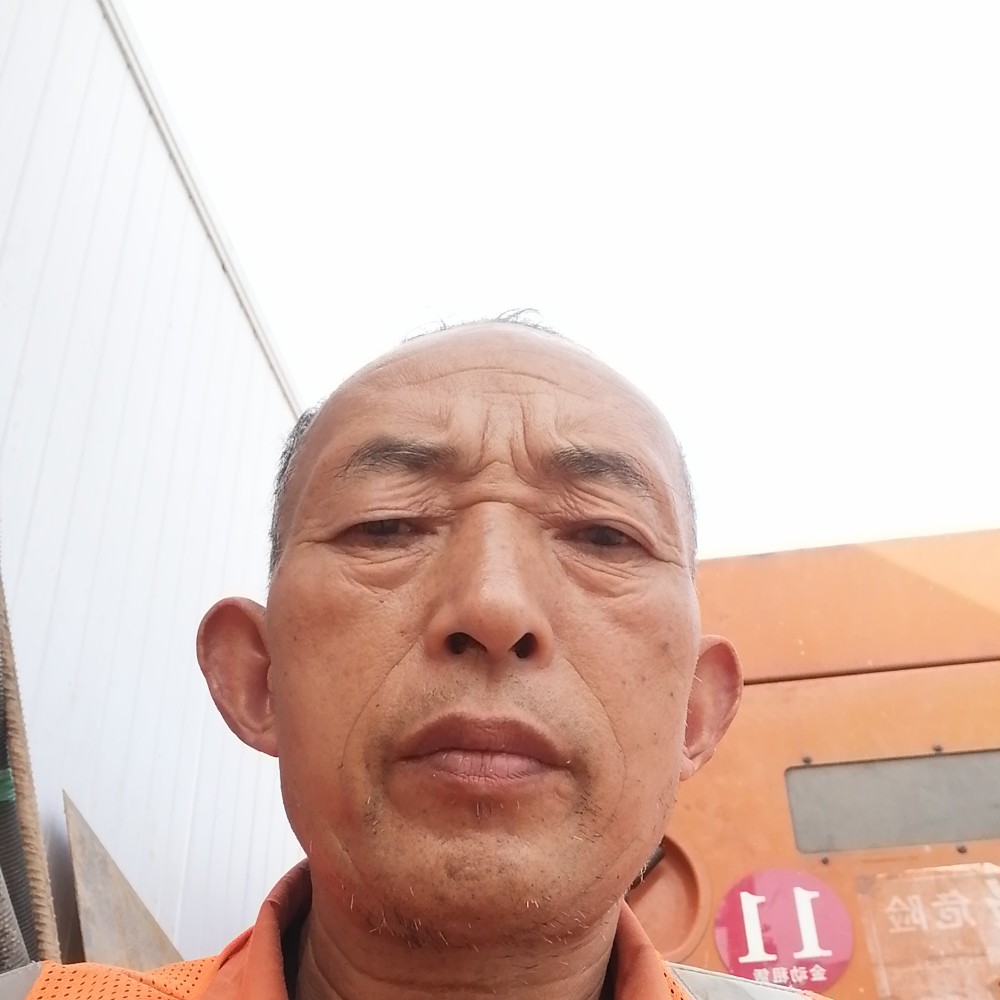 和气草的照片