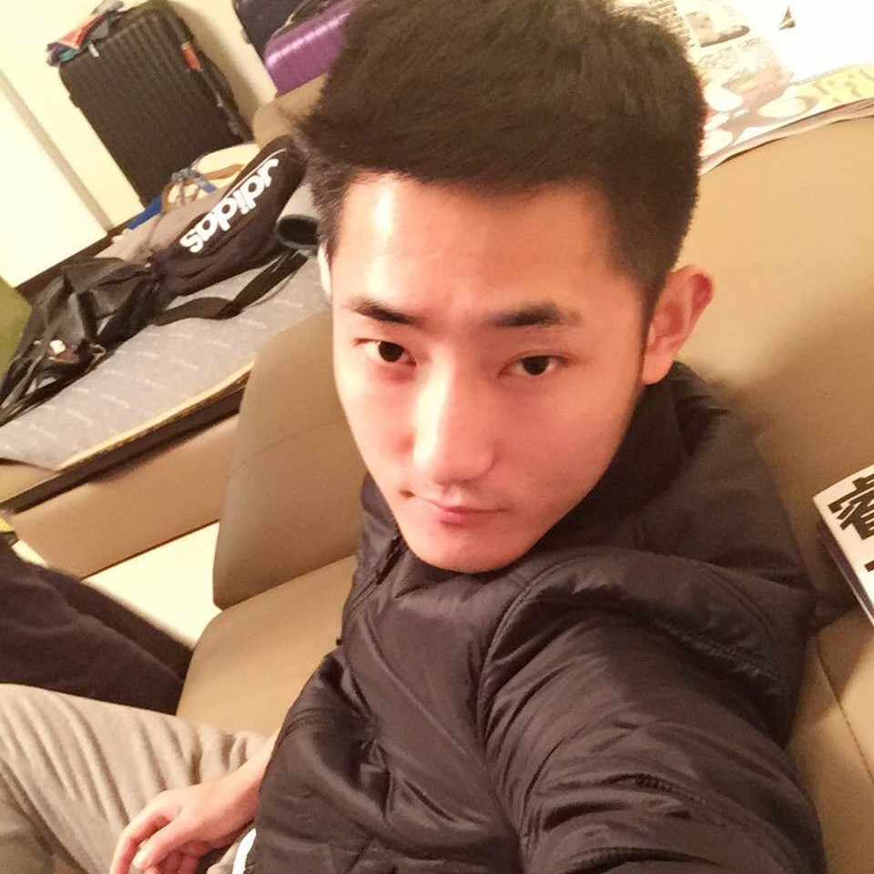 跳跃斑马！的照片