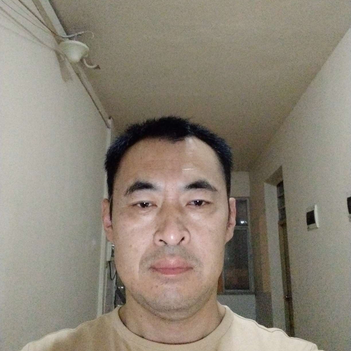 大鹏翱翔的照片
