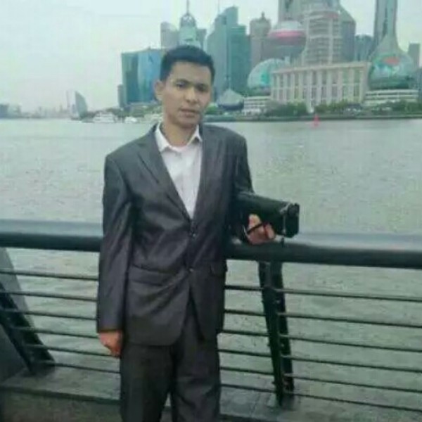 悲情鸿雁的照片
