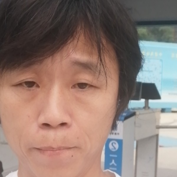 碧蓝扯树叶的照片