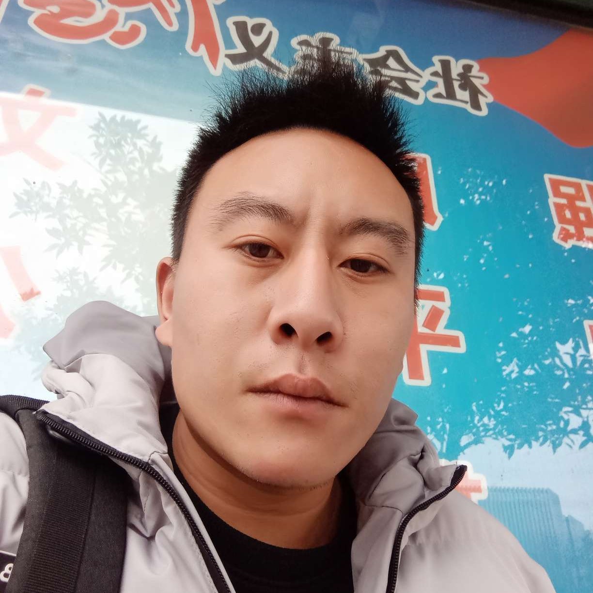 冷静给红玫瑰的照片