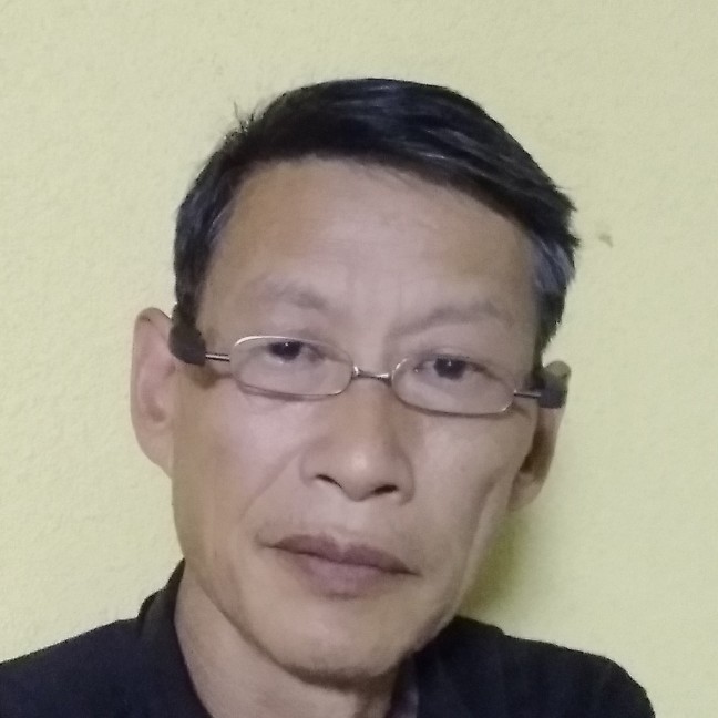 乌龟顺心的照片