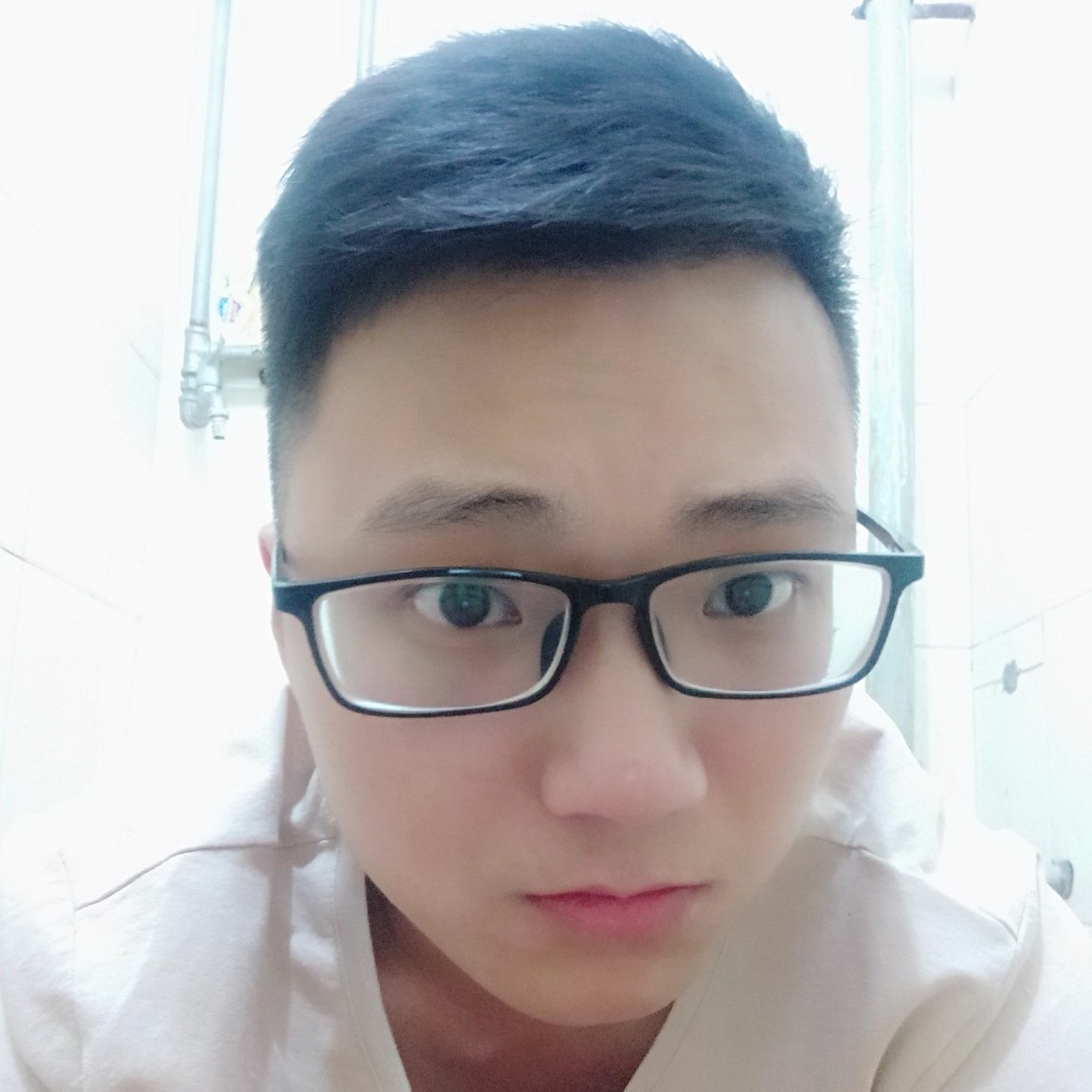 黄蜂蹁跹优雅的照片