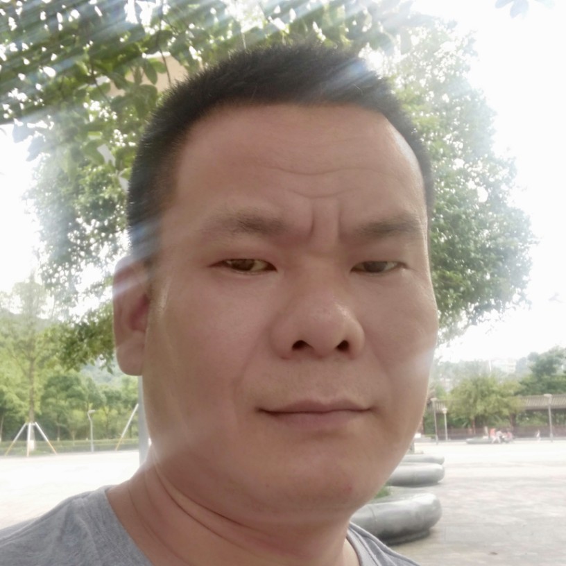 缺水海豚的照片