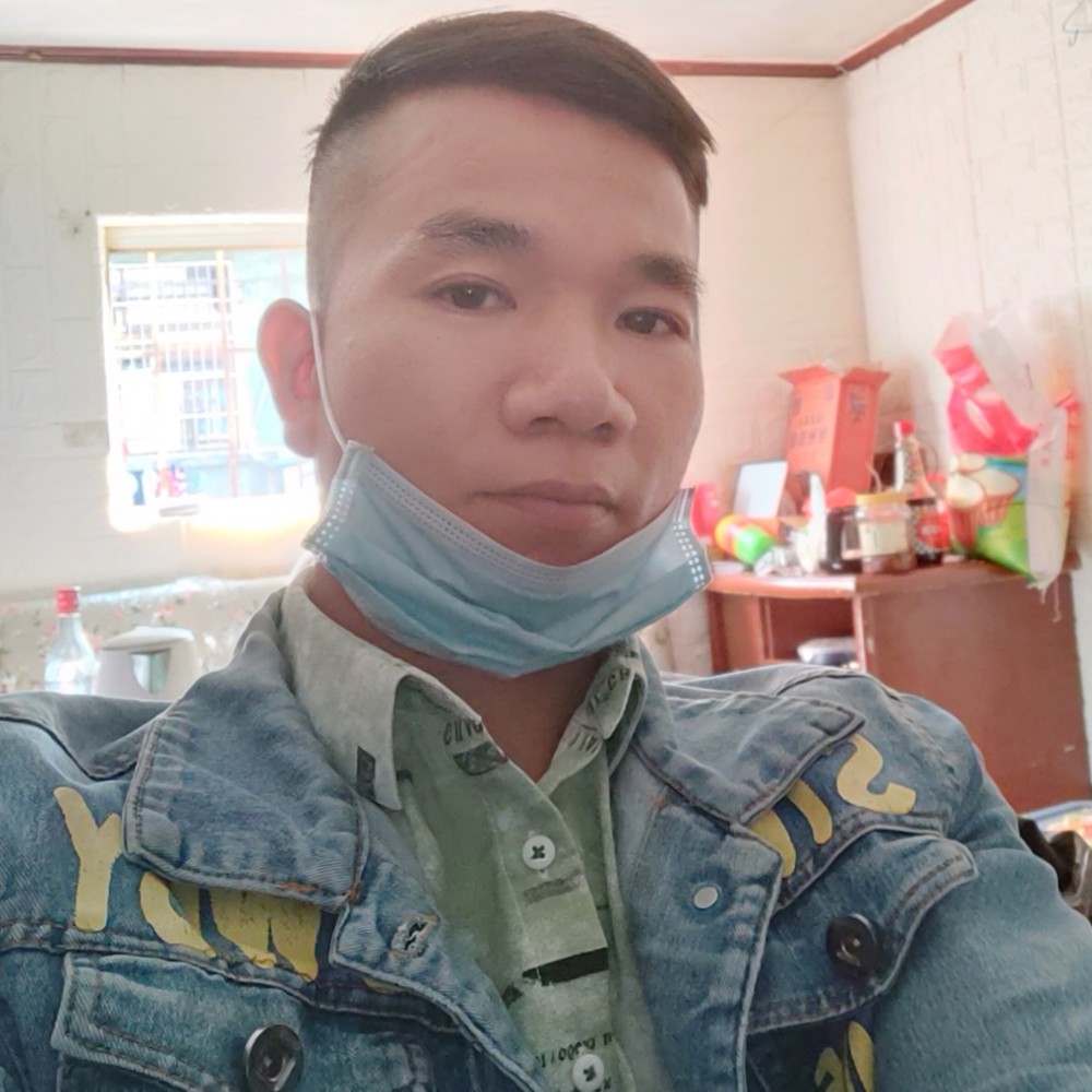 透彻漫步枫叶的照片