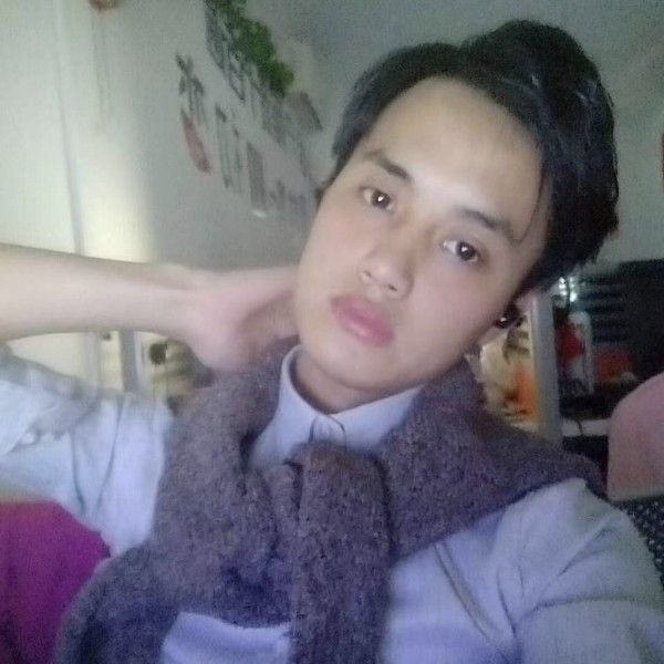 执着漫步向日葵的照片