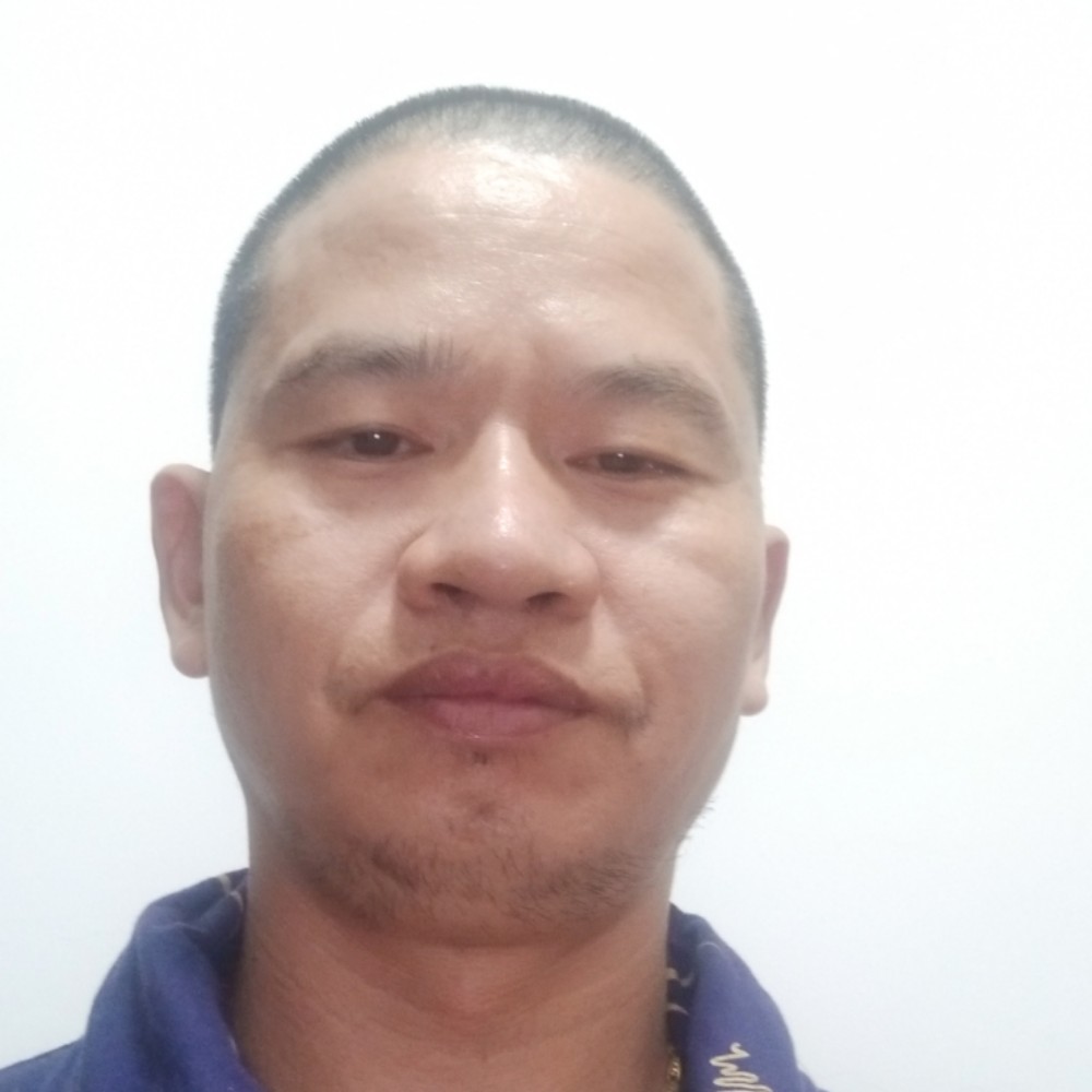 舒心演变猎豹的照片