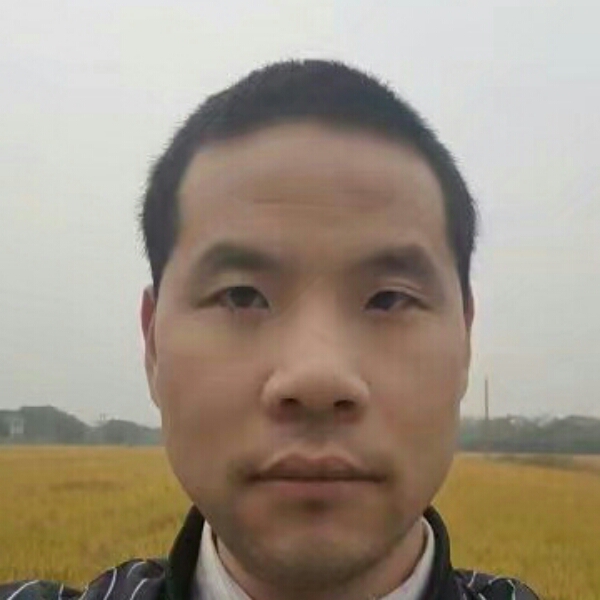 钢笔的尊敬的照片