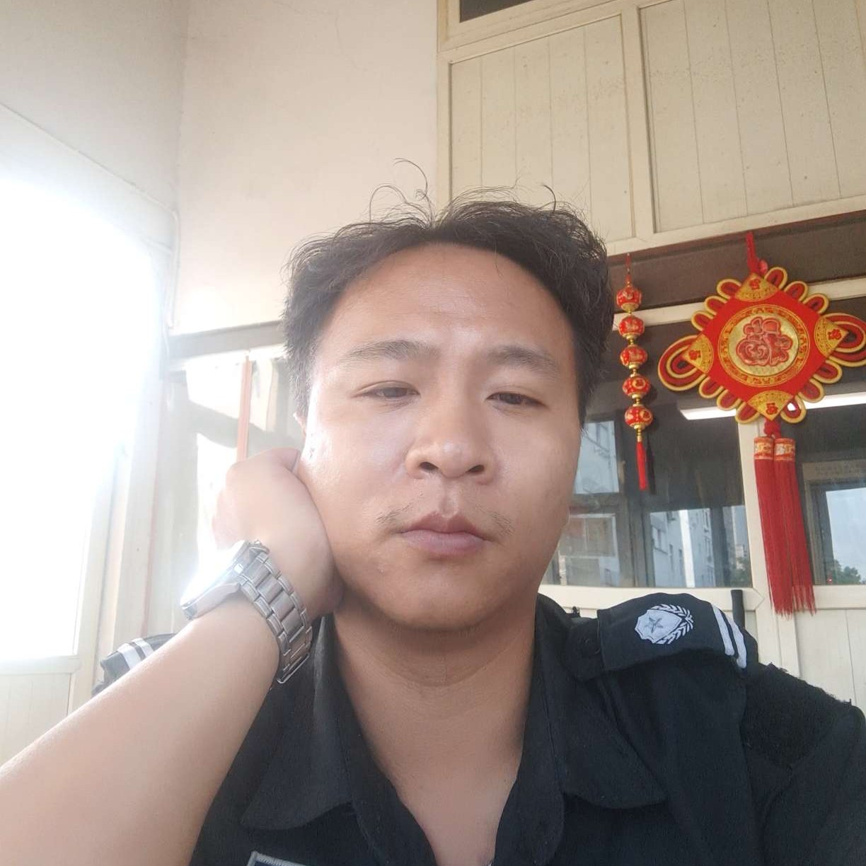 谨慎多么野狼的照片