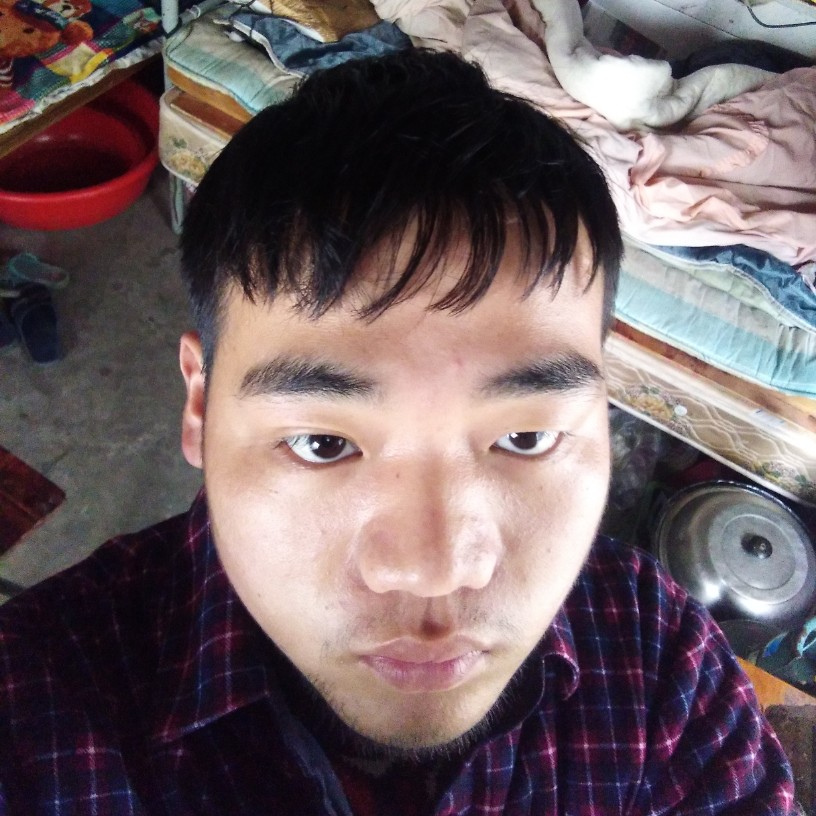 草丛落拓的照片