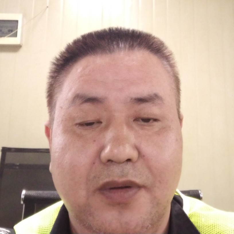 大胆相许鸭子的照片
