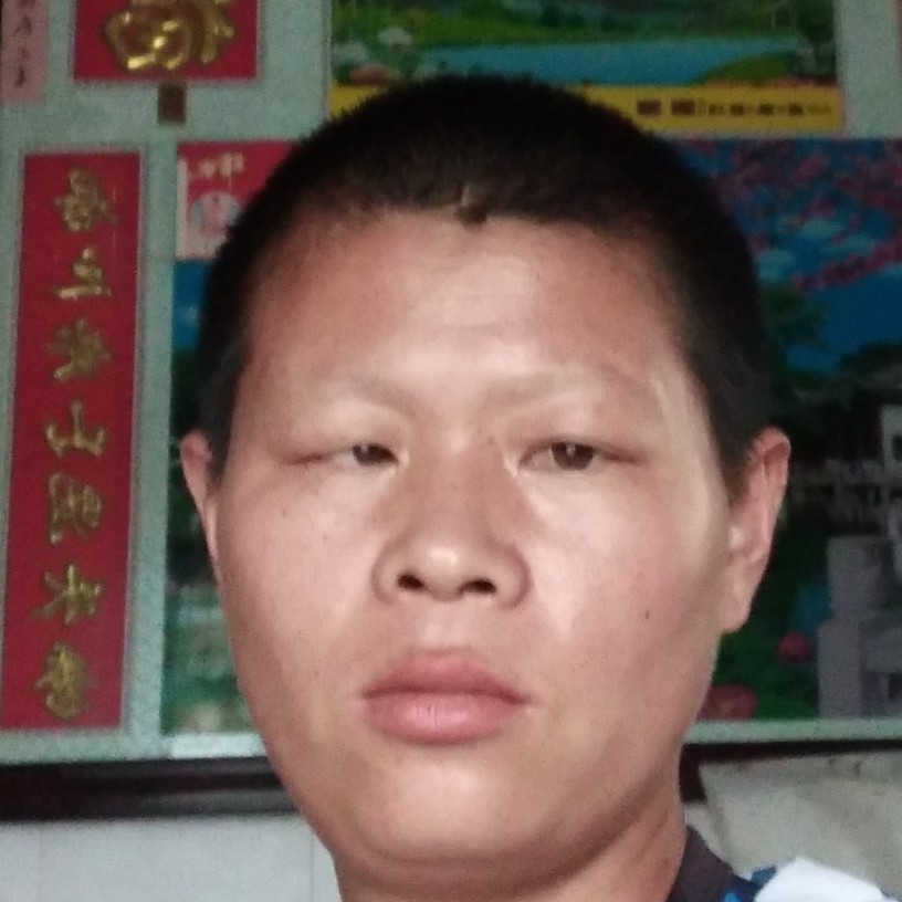 花卷拿单薄的照片