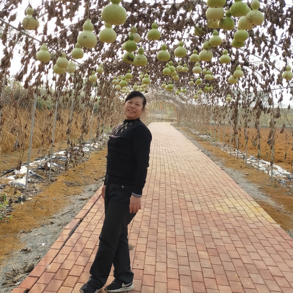 马桂芬的照片