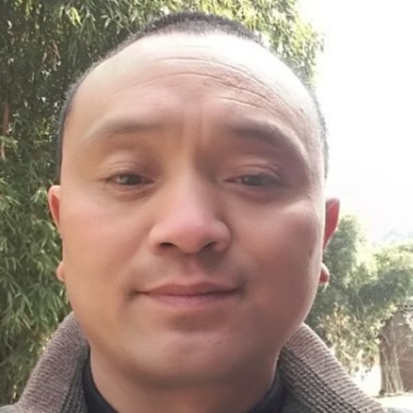 幸福傻瓜的照片