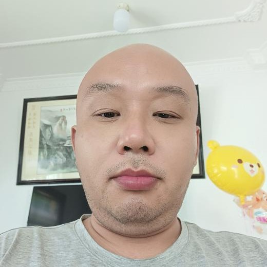 长颈鹿回首知性的照片