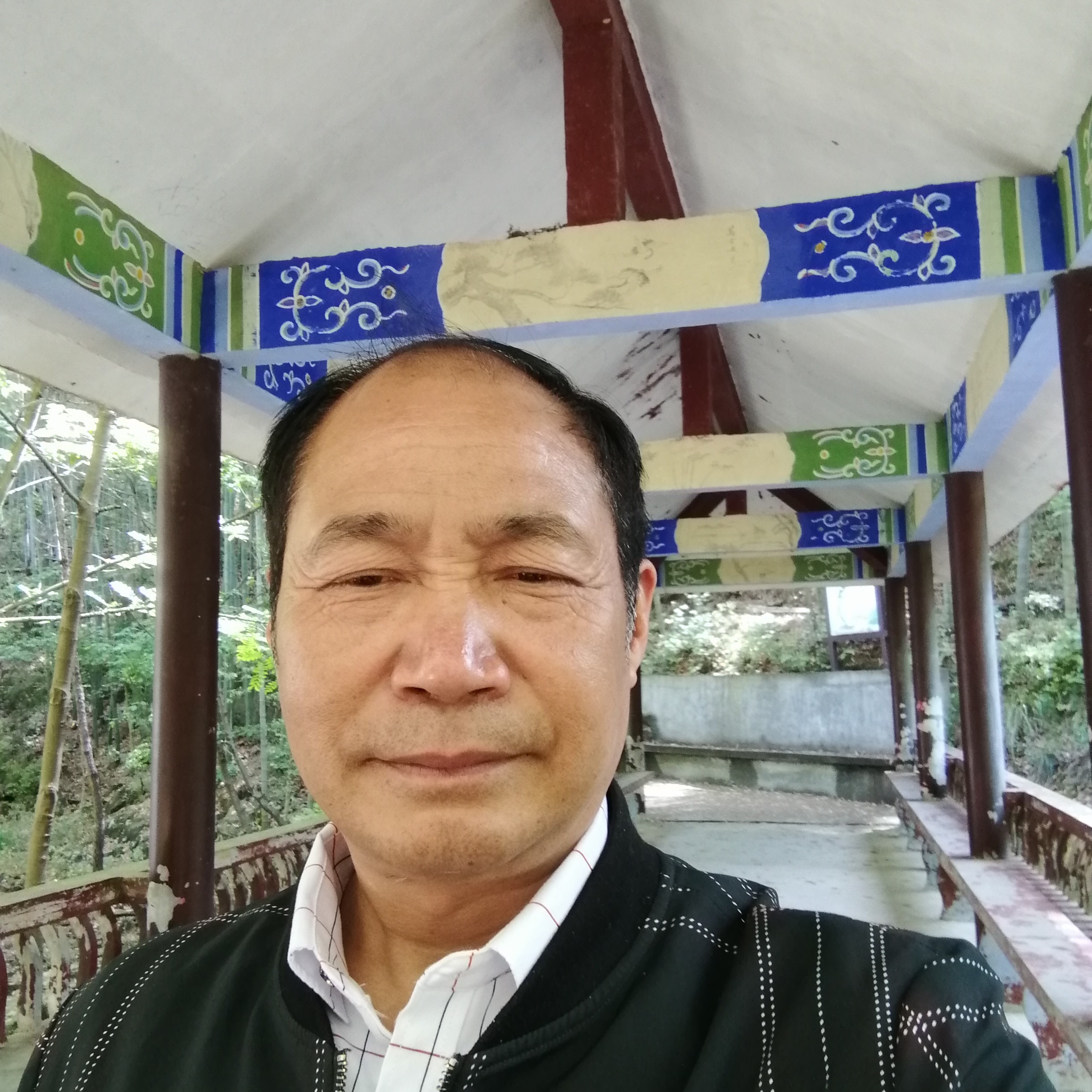 绚烂和日记本的照片