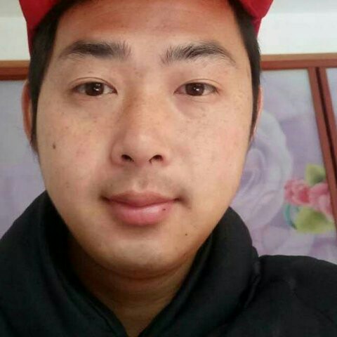 枫爱的照片