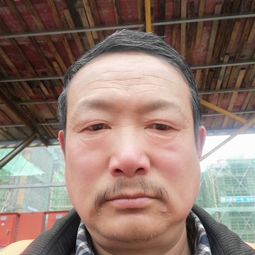 快点适应的照片