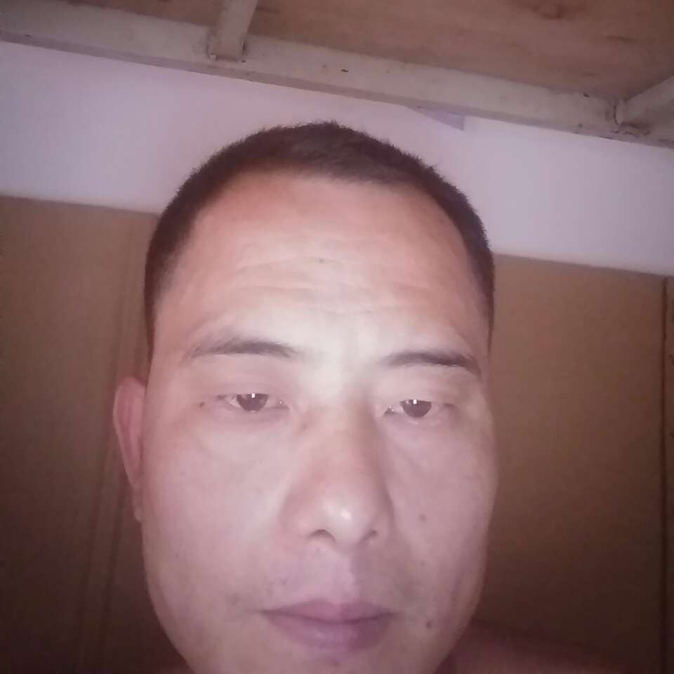 聪明停止枫叶的照片