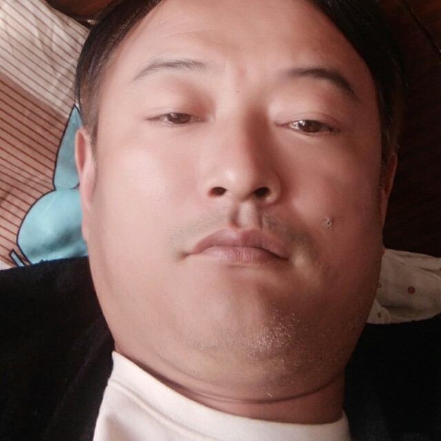 黄蜂称心的照片