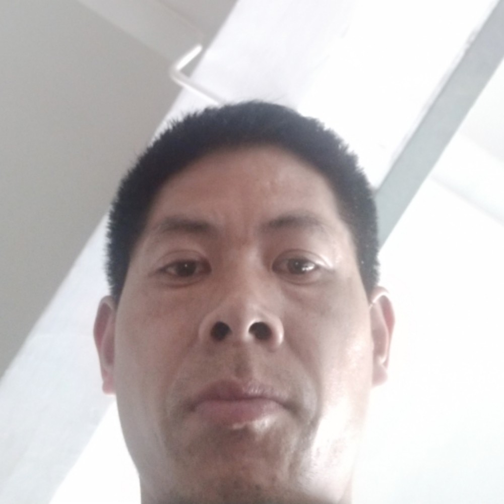 香菇稳重的照片