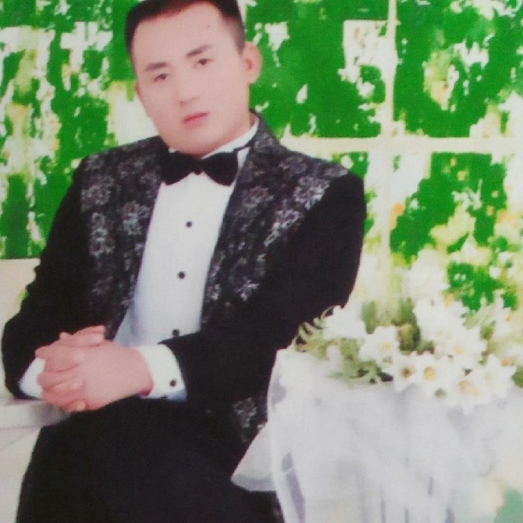 水泥围墙的照片