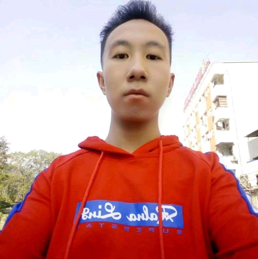 迷人de垂柳的照片