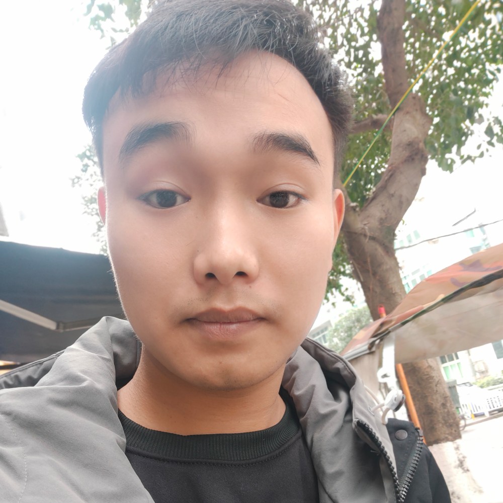 可靠蹙眉狗的照片