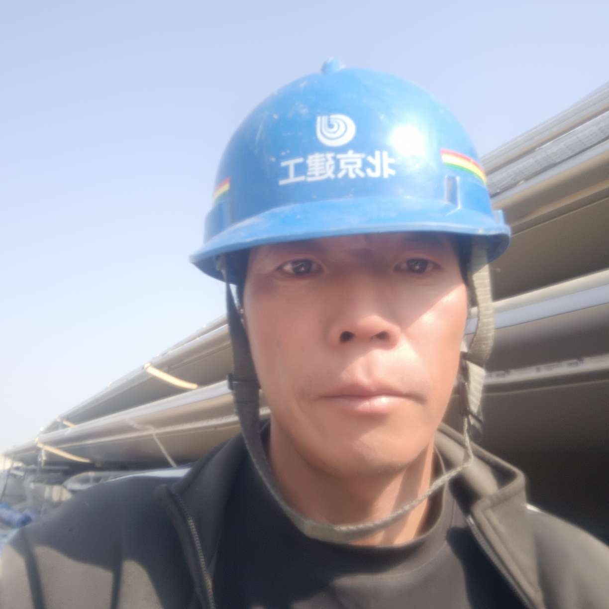 洋葱遇見完美的照片