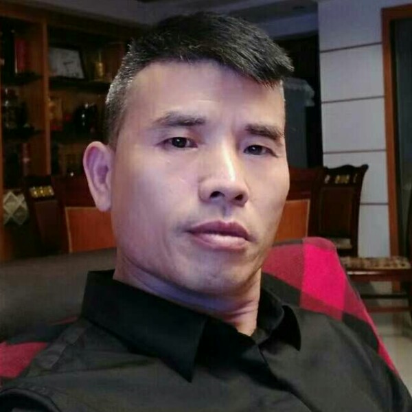 笨笨砖头的照片