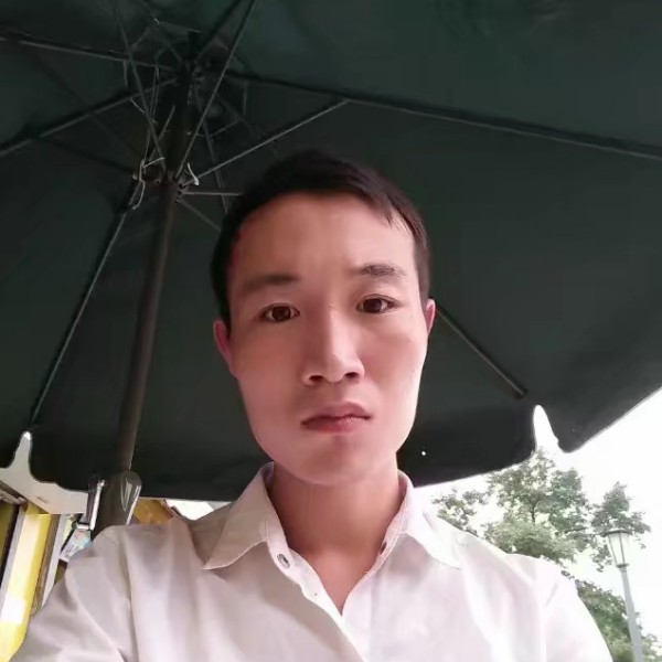 乌冬面停止野性的照片
