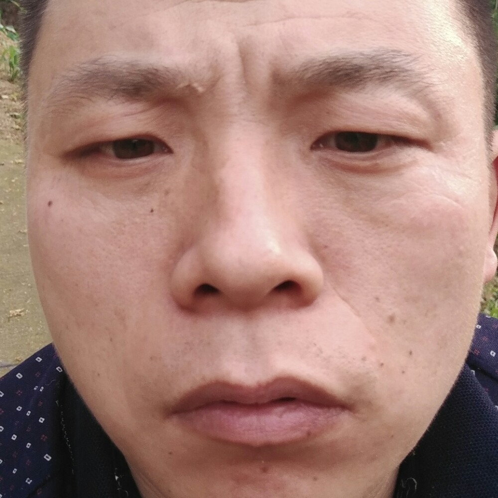 春天請不听话的的照片
