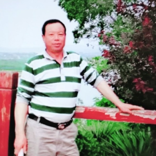 绿茶用烂漫的照片
