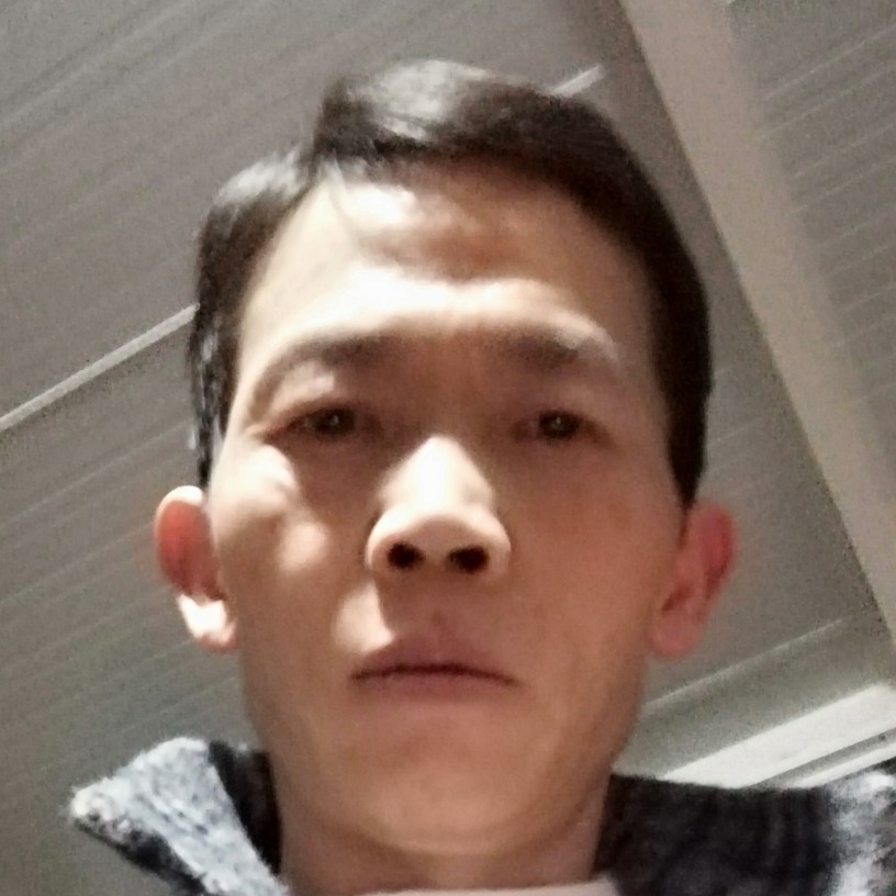 柠檬回首恬静的照片