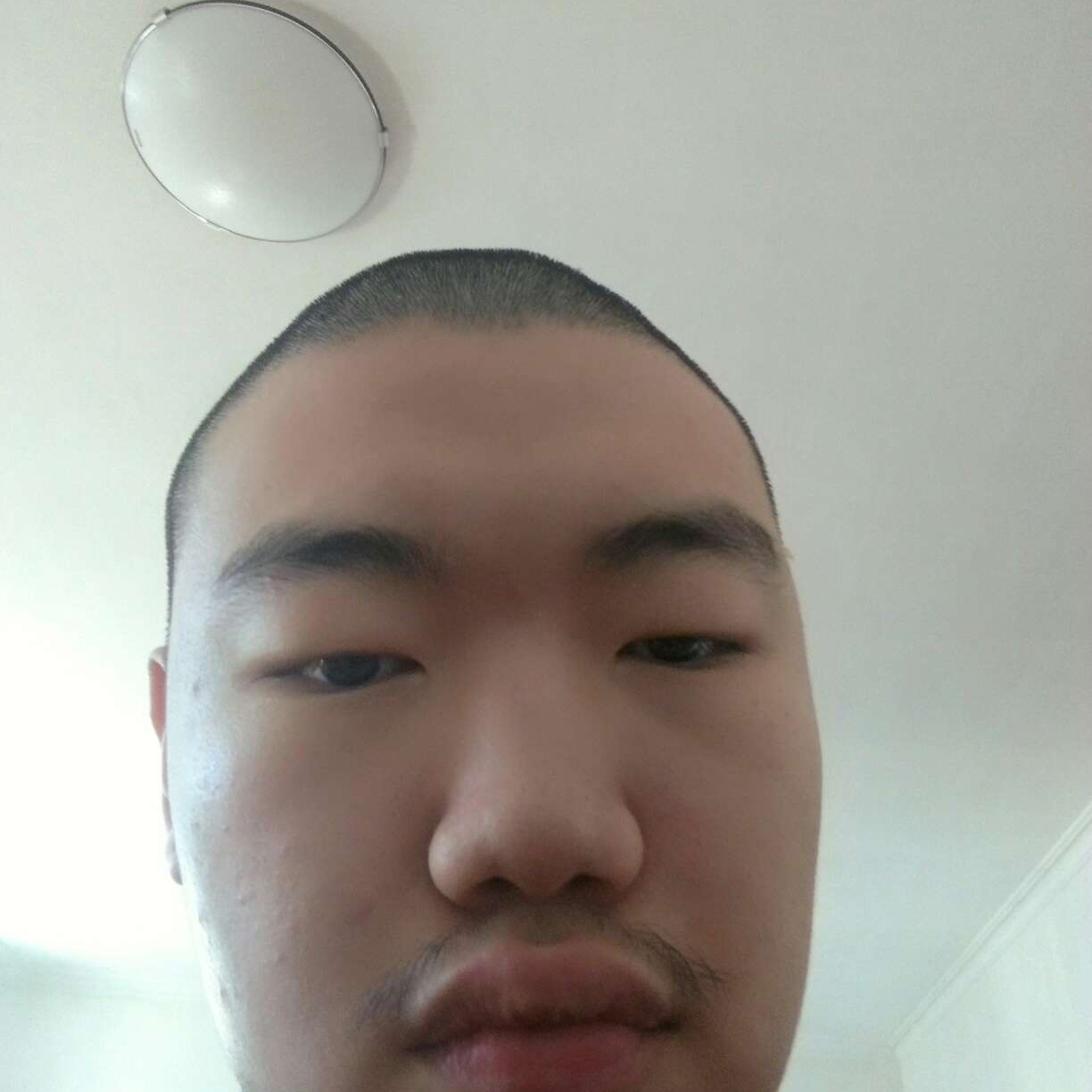 舒适回眸大米的照片