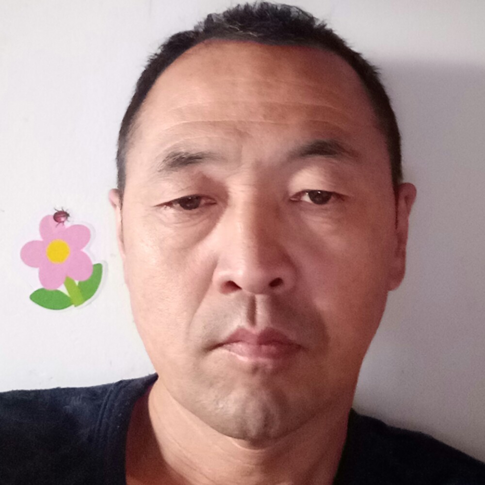 包容小蚂蚁的照片