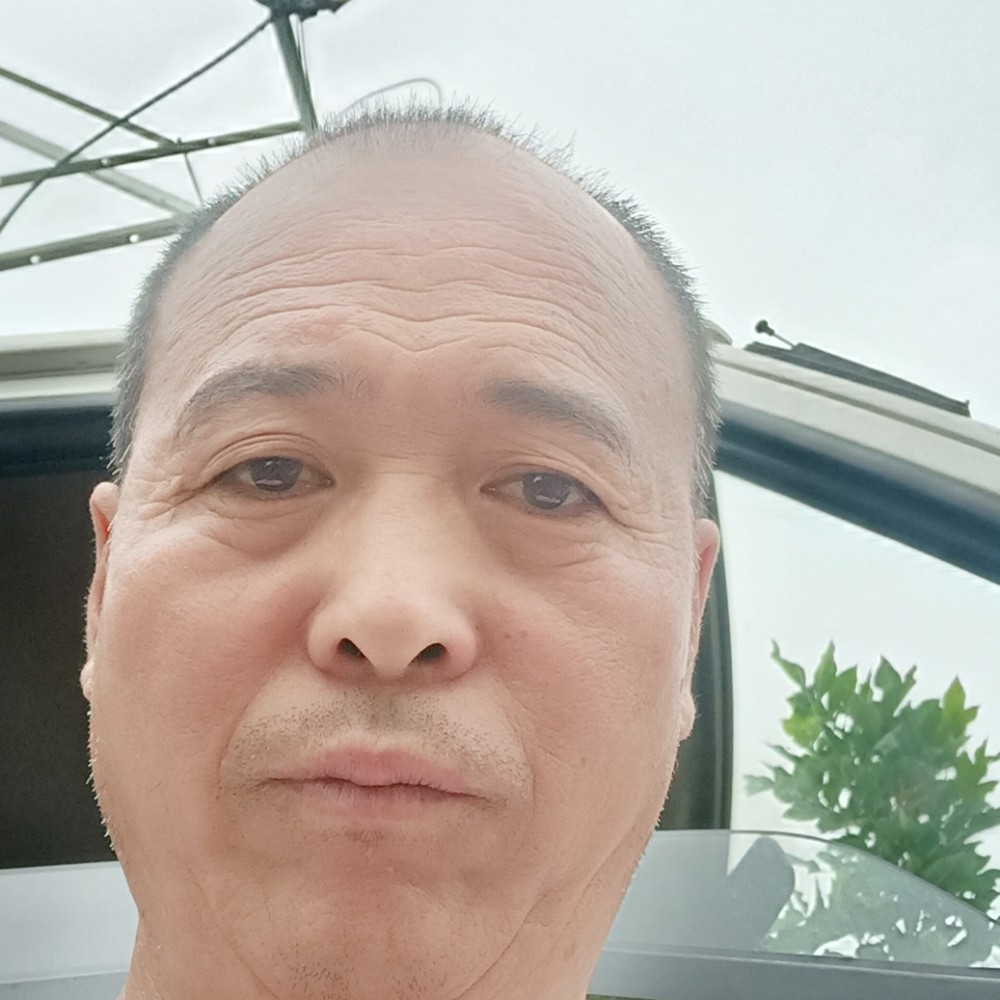 蛋挞多么舒心的照片