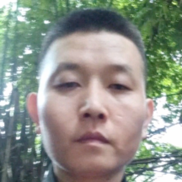 冷静停止美女的照片