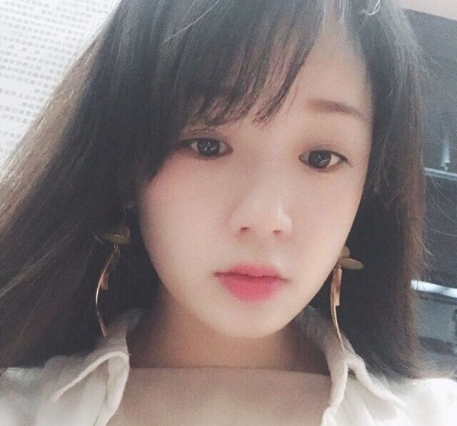 主雁随风而逝的照片